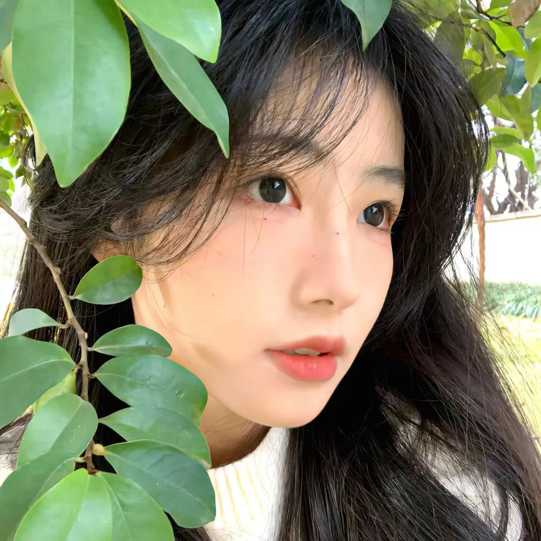 熊出没之年货